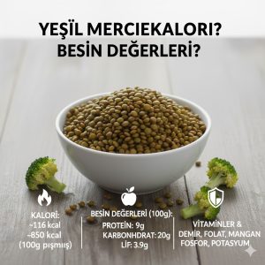 Yeşil Mercimek Kaç Kalori? Protein Değeri, Faydaları ve Zayıflatır mı?