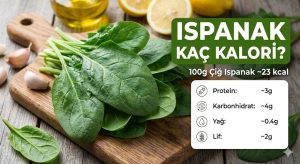 Ispanak Kaç Kalori? Besin Değeri, Faydaları ve Yoğurtla Yenir mi?