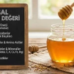 Bal Kaç Kalori? Faydaları, Besin Değeri ve Gerçek Bal Nasıl Anlaşılır?